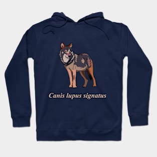 Iberian wolf Hoodie